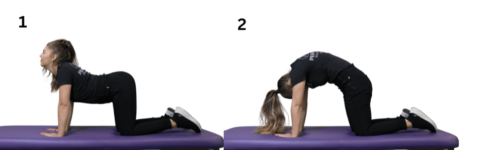 Dog pose exercise for flexibility and core strength at Performance Pain and Sports Medicine.