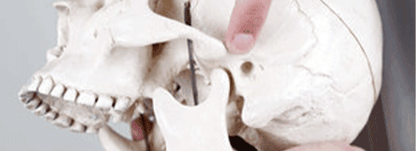 MRI scan showing detailed view of human skull and jaw bones, used for diagnosing sports injuries and pain management.